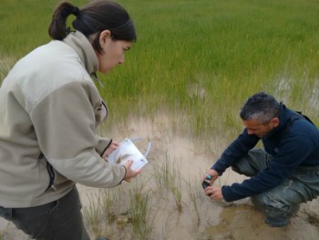 Tècnics a la prospecció d'Alfés, aquest dijous.