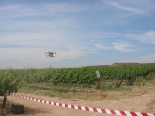 FOTO WEB 1. FOTO WEB 1.