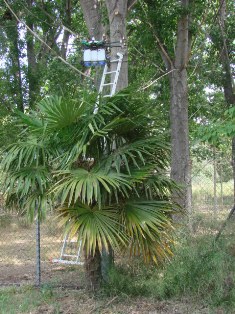 FOTO WEB 3. FOTO WEB 3.