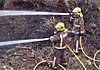 El Govern aprova noves inversions en prevenció d'incendis forestals