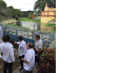 Visita a Aguas de l'Havana. Visita a Aguas de l'Havana.