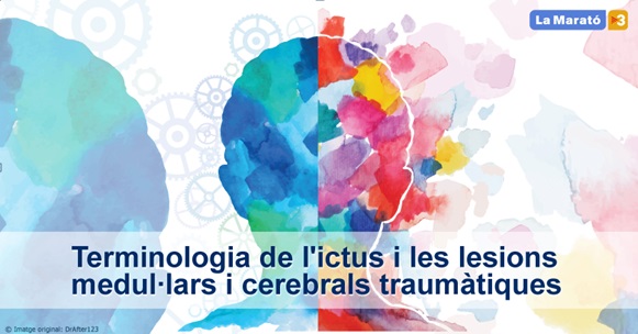 La Terminologia de l'ictus i les lesions medul·lars i cerebrals traumàtiques La Terminologia de l'ictus i les lesions medul·lars i cerebrals traumàtiques