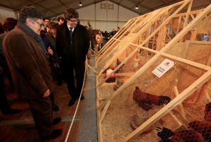 El president Puigdemont ha visitat la 43a Fira Avícola de la Raça Prat, al Prat de Llobregat El president Puigdemont ha visitat la 43a Fira Avícola de la Raça Prat, al Prat de Llobregat