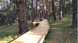 Imatge de la passera