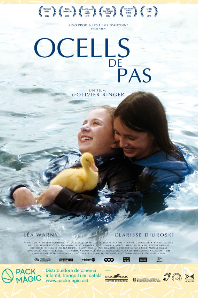 Cartell 'Ocells de pas'