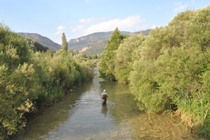 incici de la temporada de pesca continental