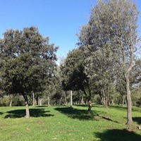 Fotografia de boscos Fotografia de boscos