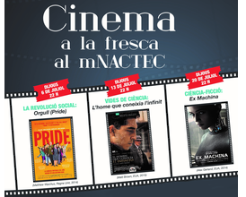Cinema a la fesca