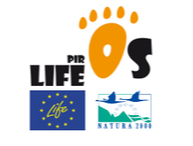 Logo del projecte Logo del projecte