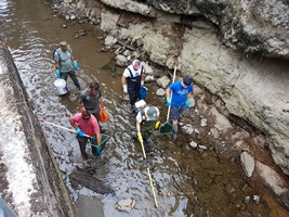 Rescat de truites al canal de Sossís