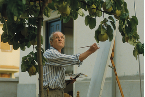 Elsoldelmembrillo Elsoldelmembrillo