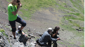 Treball de camp dels observadors.