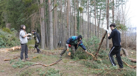 Feines realitzades pels joves.