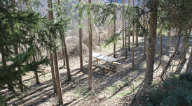 Adequació del viver com a zona d'esbarjo.