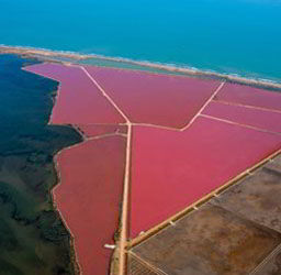 Imatge del Delta de l'Ebre del fotògraf Yann Arthus-Bertrand 