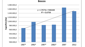 Evolució de superfície de bosc