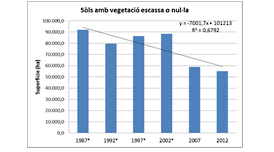 Evolució de sòls amb vegetació escassa o nul·la