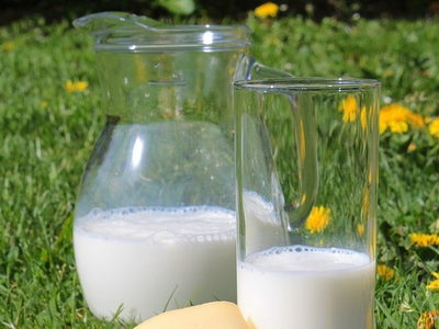 El Govern aprova el decret de venda directa de llet crua de vaca 