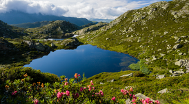 Imatge: Alain Baschenis. Parc Natural Regional de Pyrénéees Ariégeoises (França). Imatge: Alain Baschenis. Parc Natural Regional de Pyrénéees Ariégeoises (França).