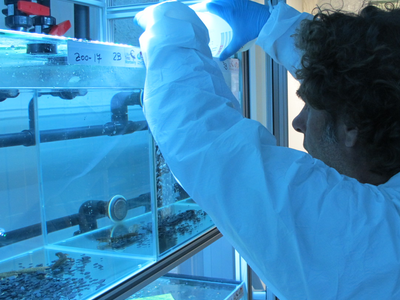 Centre de Fauna de Torreferrussa