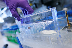 Fotografia de recerca