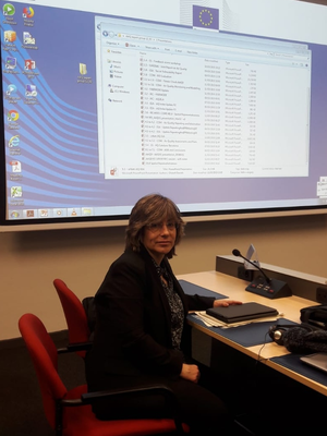 La directora general de Qualitat Ambiental i Canvi Climàtic, Mercè Rius, moments abans de la presentació.