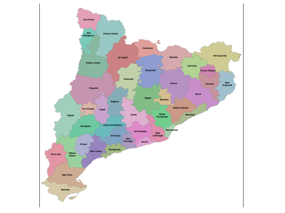 El Govern aprova el decret sobre l'elecció dels membres dels consells comarcals de 2019
