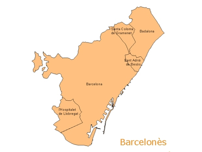 El Govern crea la comissió mixta que distribuirà les competències, les activitats i els serveis del Consell Comarcal del Barcelonès després que quedés suprimit per llei