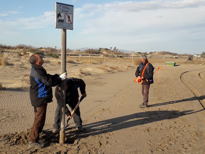 Imatge dels treballs. Imatge dels treballs.