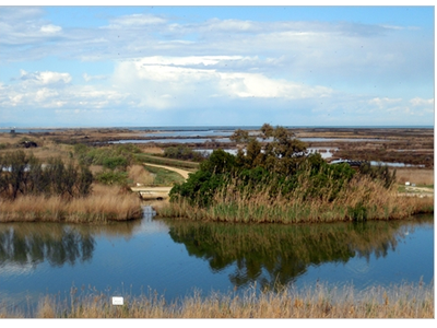 El delta de l'Ebre, un dels indrets de Catalunya amb una alta vulnerabilitat al canvi climàtic. El delta de l'Ebre, un dels indrets de Catalunya amb una alta vulnerabilitat al canvi climàtic.