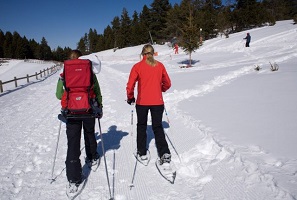 Dia Mundial de l'Activitat Física