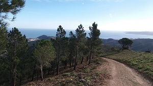 Zona de la Muntanya de Colera on s'han realitzat els treballs de prevenció Zona de la Muntanya de Colera on s'han realitzat els treballs de prevenció