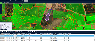 FOTO WEB 2 FOTO WEB 2