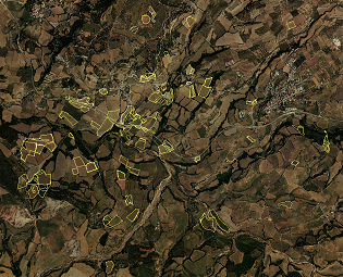 FOTO WEB 1 FOTO WEB 1