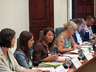 Consellera Budó compareixença comissió igualtat