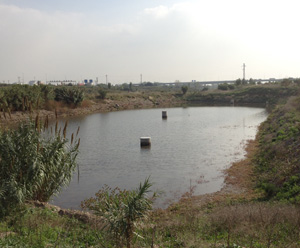 Basses de recàrrega de Sant Vicenç dels Horts. Basses de recàrrega de Sant Vicenç dels Horts.