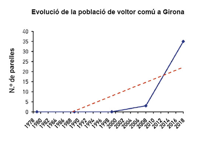 Evolució de la població del voltor a Girona Evolució de la població del voltor a Girona