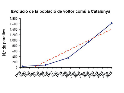 Evolució de la població del voltor comú a Catalunya Evolució de la població del voltor comú a Catalunya