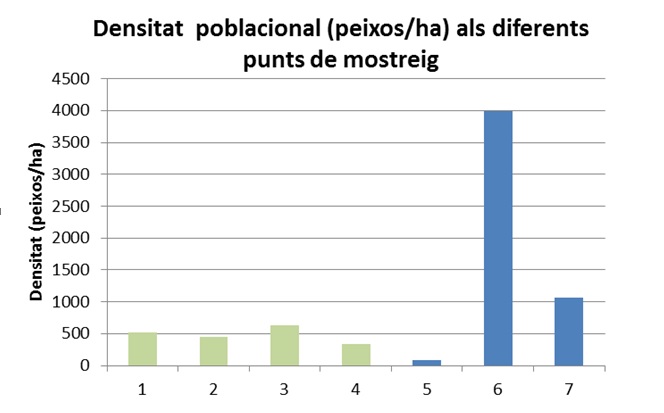 Fig. 2. Densitat poblacional (peixos/ha) als diferents punts de mostreig.