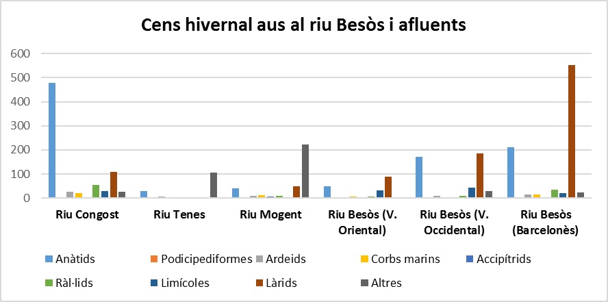 Fig. 4. Resultats del cens d'aus per trams analitzats.
