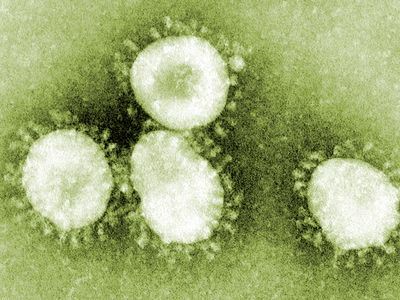 El Govern reforça les mesures contra el coronavirus amb la revisió del Pla de Protecció Civil d'emergències associades a malalties transmissibles emergents d'alt risc