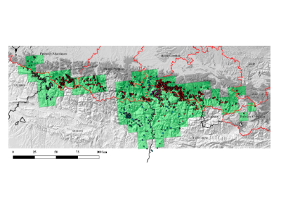 Àrea màxima de distribució de l'os bru als Pirineus en 2019 (quadrícules UTM 10x10 km).
