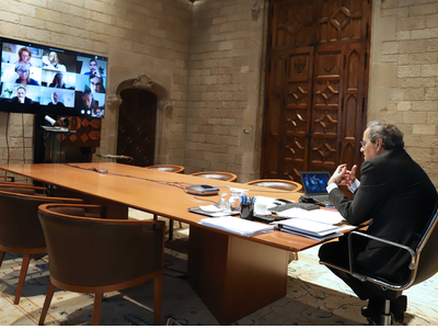 La reunió s'ha celebrat per videoconferència (foto: Rubén Moreno)