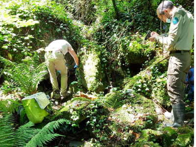 Imatge de l'alliberament Imatge de l'alliberament