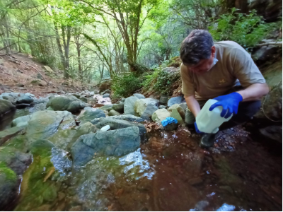 Imatge de l'alliberament Imatge de l'alliberament
