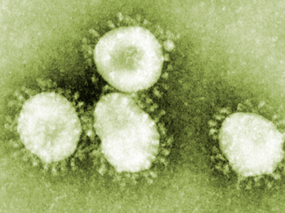 Coronavirus
