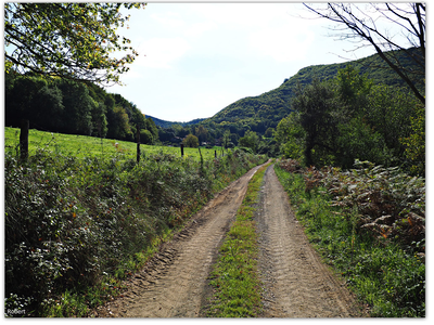 Imatge d'un camí rural a Santa Pau, la Garrotxa