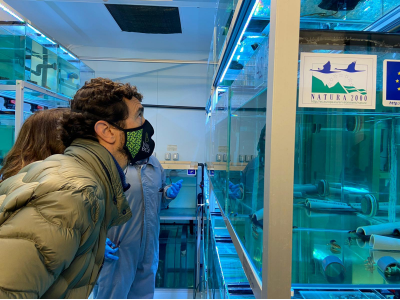El conseller Calvet observa els aquaris del Centre de Fauna de Pont de Suert on s'hi cria en captivitat el tritó del Montseny.