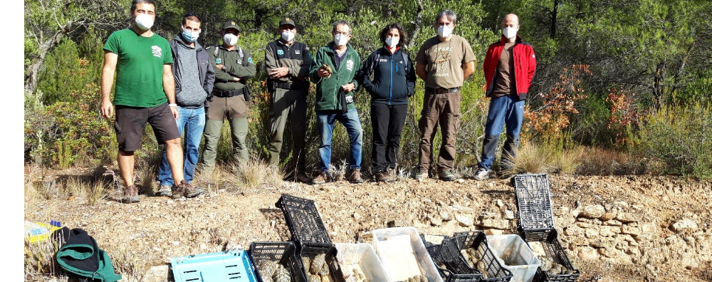 Imatge de l'alliberament Imatge de l'alliberament