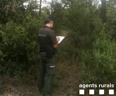 Agent Rural realitzant el seguiment de DeBosCat